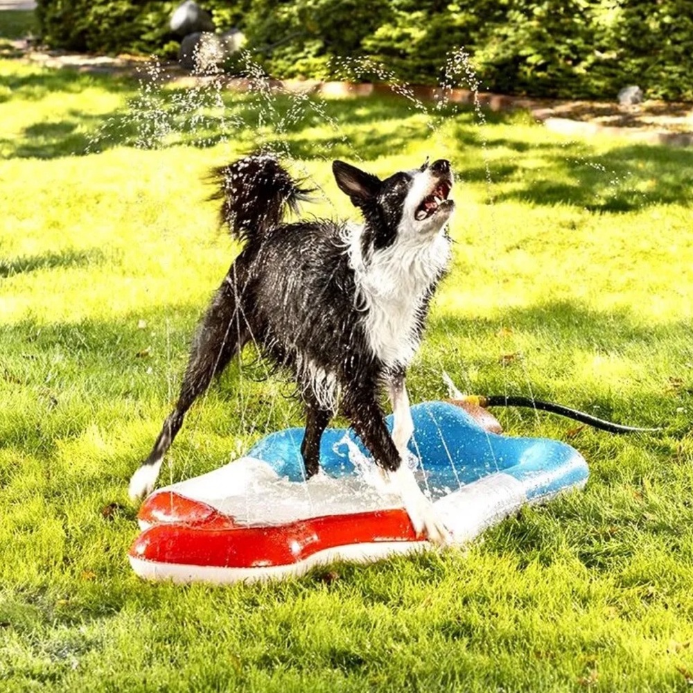 Top paw summer splash pad